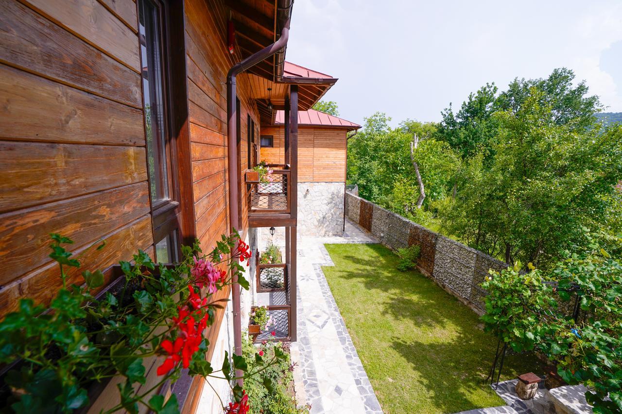 Felix Pension Băile Govora Exterior foto